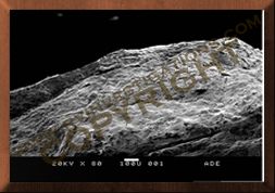 Dometic Refrigerator Fire Weld-Scanning Electron Microscope